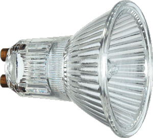 Halogenlampen                            GU10 230V | Halogen Lamp GU10 230V